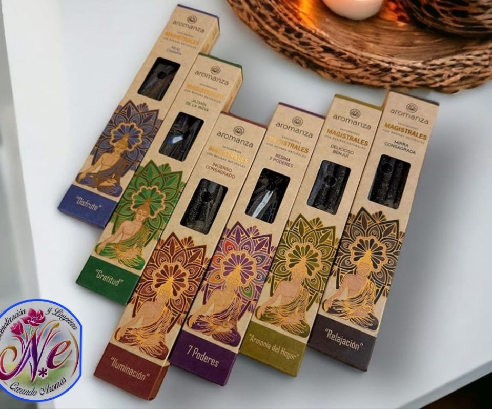 Escaneado_20241216-1714-22