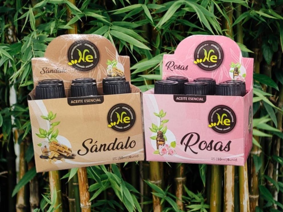 Escaneado_20241216-1714-24