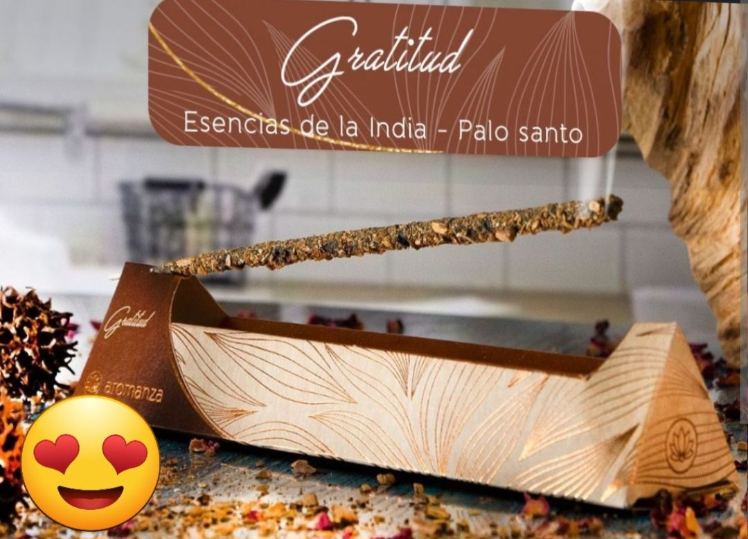 Escaneado_20241216-1714-26